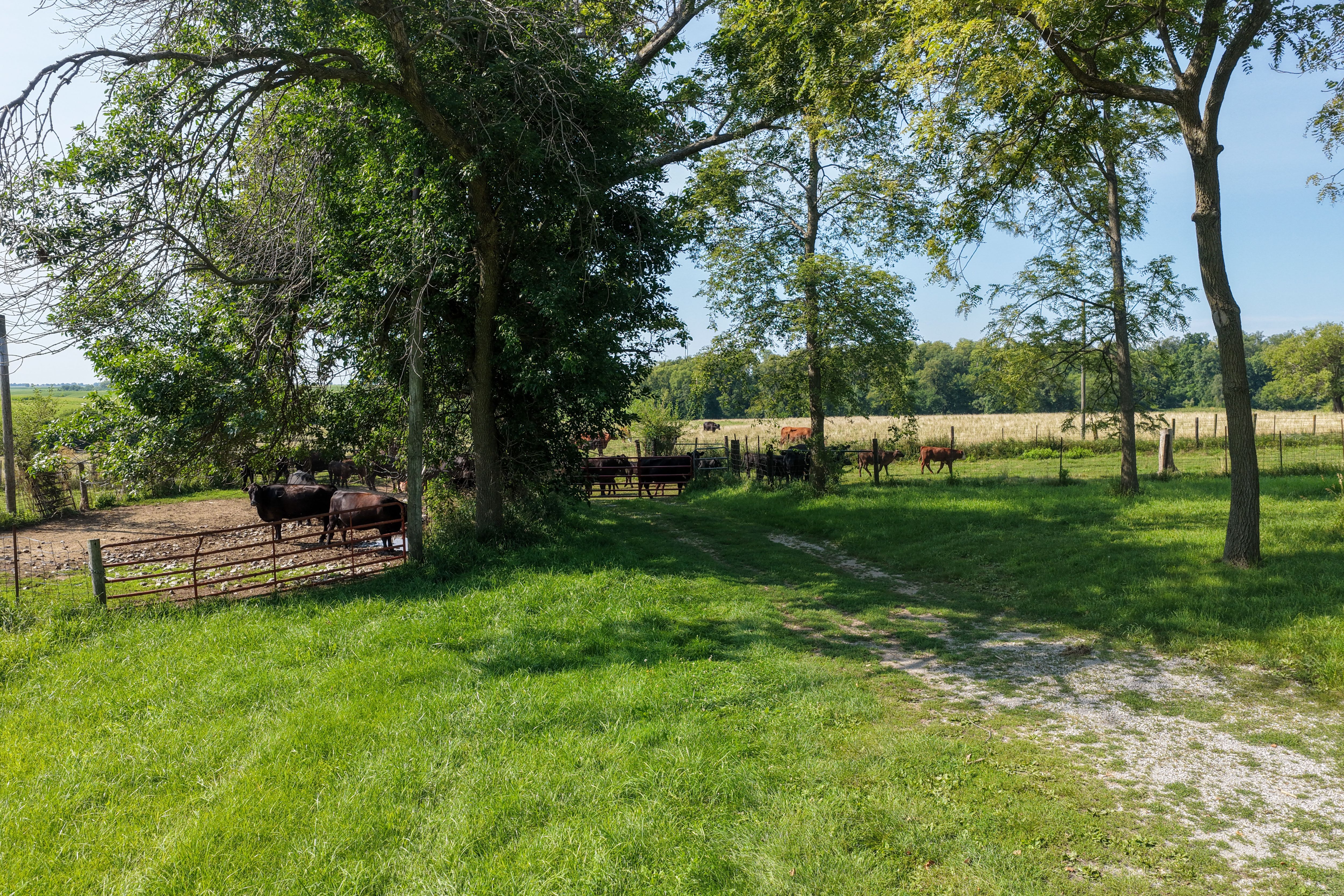 Listing Photo: Land for Sale Johnson County Iowa-6
